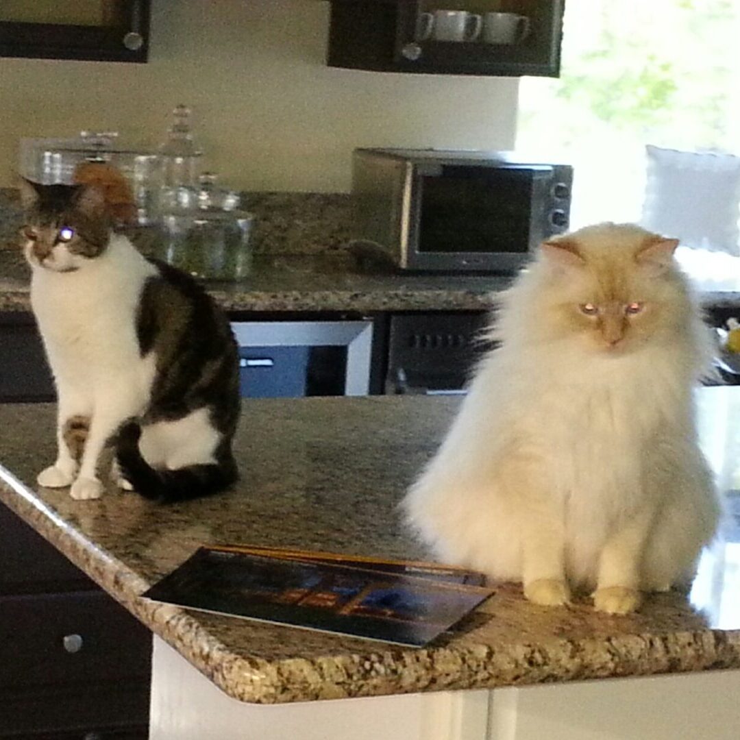 20160705_073223_resized